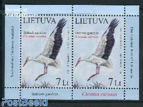 White stork s/s