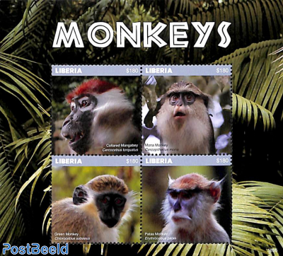 Monkeys 4v m/s