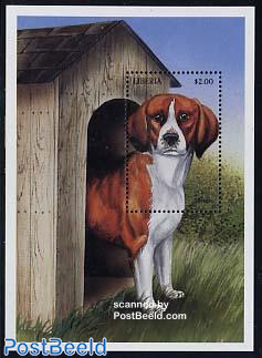 Dog (Beagle) s/s
