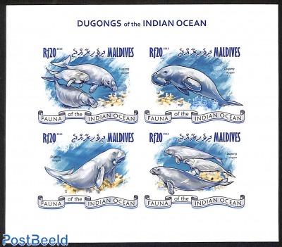 dugongs, imperforated