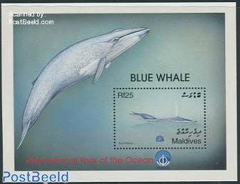 Ocean year, Blue whale s/s