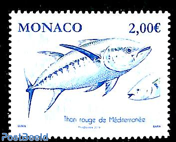 Mediterranian Tuna 1v