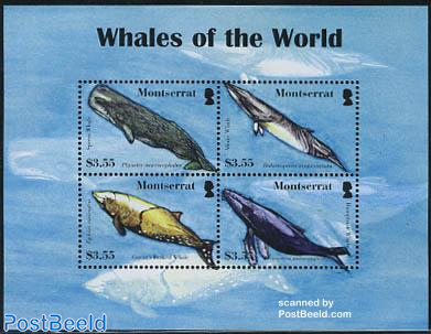 Whales of the world 4v m/s