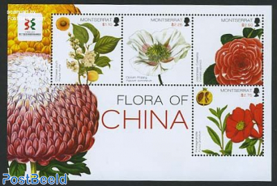 Flora of China 4v m/s