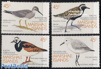 Birds 4v