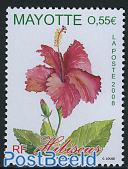 Flora, Hibiscus 1v