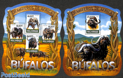 Bufalos 2 s/s