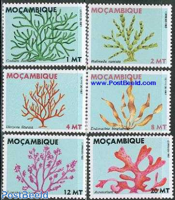 Sea plants 6v