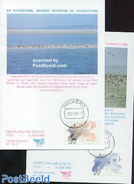 Dutch shallows max cards Trompet