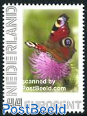 Frame stamp, butterfly 1v