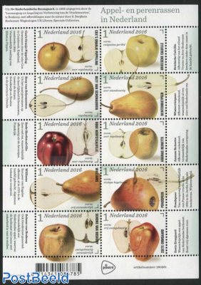 Apples & pears 10v m/s