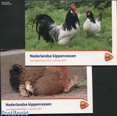 Chicken, presentation pack 552a+b