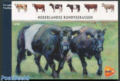 Cows Prestige booklet