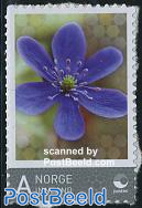 Inland stamp 1v s-a