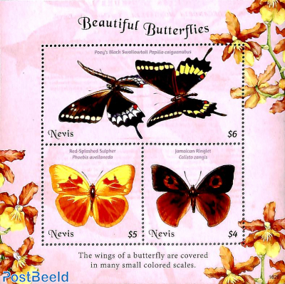 Butterflies 3v m/s