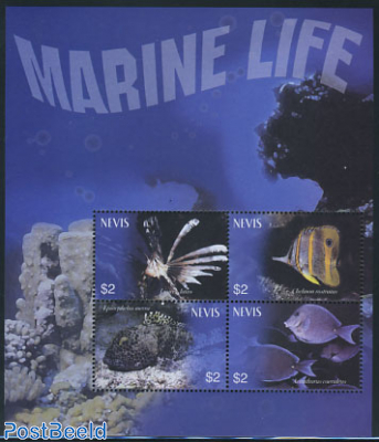 Marine life 4v m/s