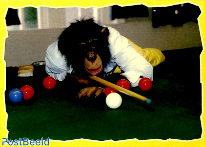 Snooker