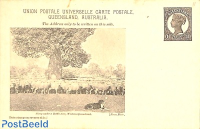 Illustrated postcard, 1.5d