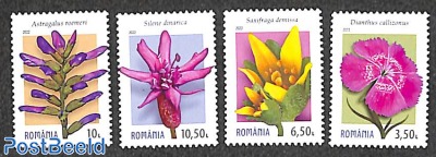 Carpathian flowers 4v