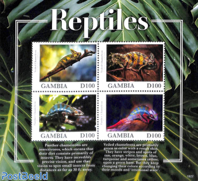 Reptiles 4v m/s
