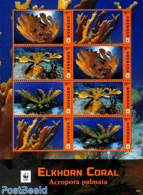 WWF, Elkhorn coral m/s