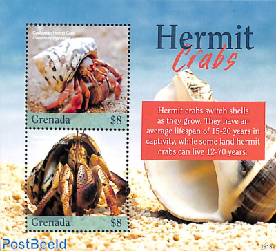 Hermit Crab 2v m/s