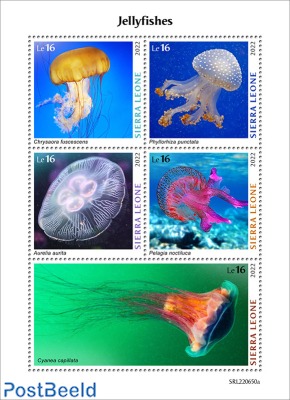 Jellyfishes