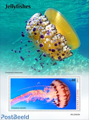 Jellyfishes