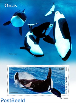 Orcas