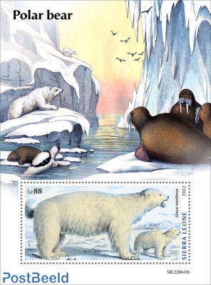 Polar Bears