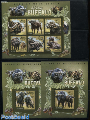 African Buffalo 3 s/s