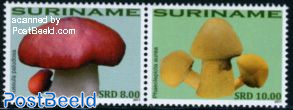 Mushrooms 2v [:]