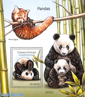 Panda s/s