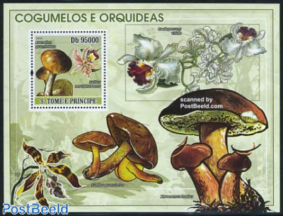 Mushrooms & orchids s/s