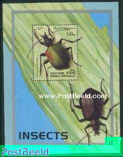 INSECTS S/S (CALOSOMA INQ