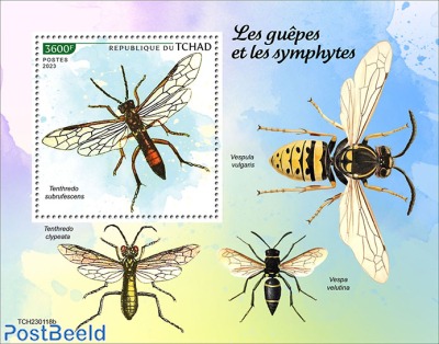 Wasps and sawflies