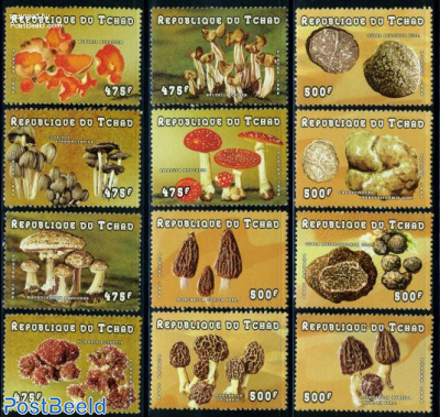 Mushrooms 12v