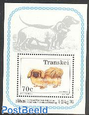 Dogs s/s