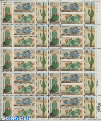 Cactus flowers sheet