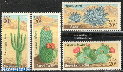 Cactus flowers 4v