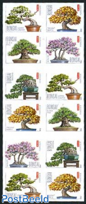 Bonsai booklet s-a (double sided)