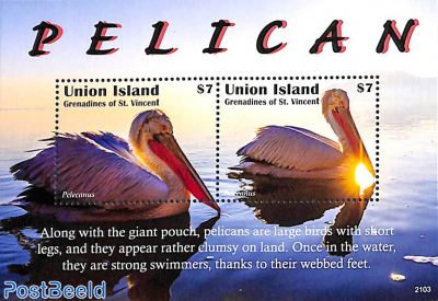 Union Island, Pelican 2v m/s