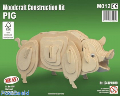 Pig Woodcraft Kit