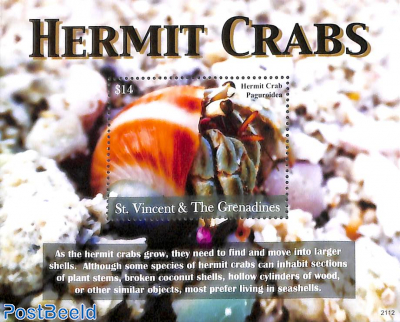 Hermit Crabs s/s