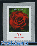 Garden rose 1v s-a