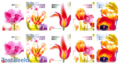 Tulips 2x5v foil booklet