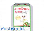 Jumping Rabbit